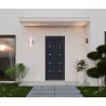 Porte d'entrée aluminium monobloc NIMES noir RAL 2100