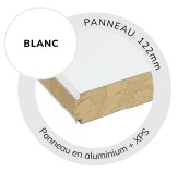 panneau toit carport